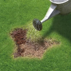 Miracle-Gro Patch Magic Grass Seed, Feed & Coir - 10 Patch Jug -Westland Garden Deals Store 12809397 7204927299156486