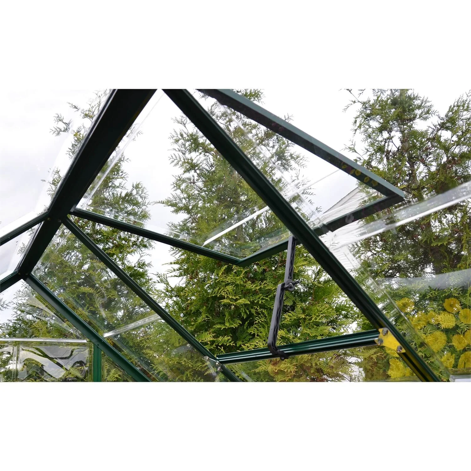 Palram 6 X 10ft Canopia Harmony Greenhouse - Green 7 Palram 6 X 10ft Canopia Harmony Greenhouse - Green - Image 7