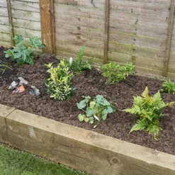 Sunny Border Collection - 5m X 90cm -Westland Garden Deals Store 12811326 1925034640441611