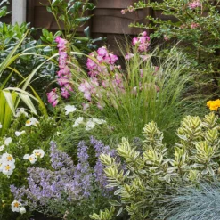 Sunny Border Collection - 7m X 90cm -Westland Garden Deals Store 12811336 1165034640651470