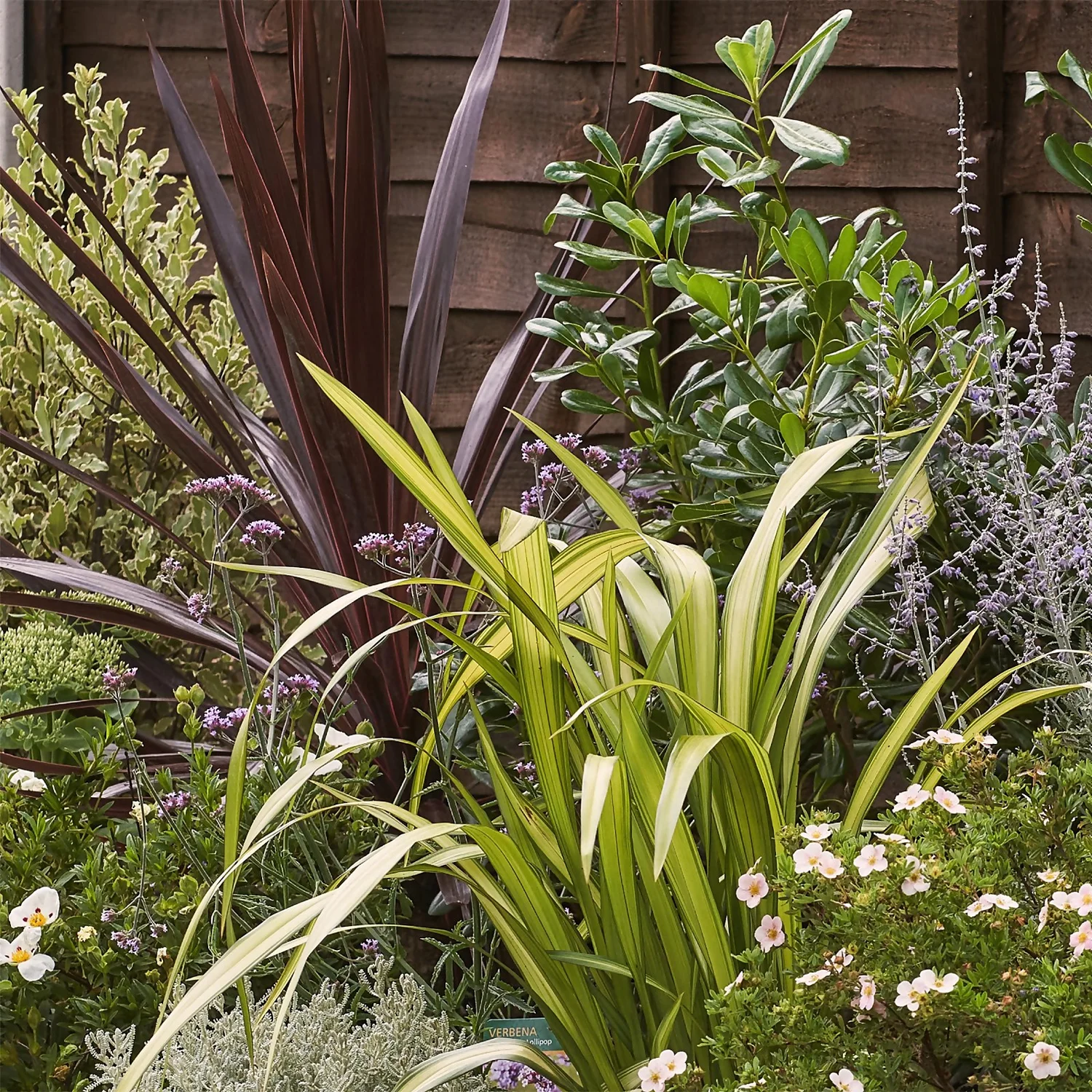 Mediterranean Border Collection - 5m X 60cm 5 Mediterranean Border Collection - 5m X 60cm - Image 5