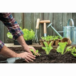 RHS Horticultural Potting Grit Large Pack - 20kg -Westland Garden Deals Store 12812881 1004857553526019