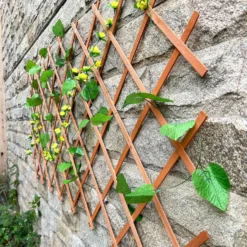 Sprout Garden Expanding Trellis 1.8m X 0.6m 5 Sprout Garden Expanding Trellis 1.8m X 0.6m -Westland Garden Deals Store 12814979 1255013038613717