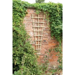 Traditional Fan Trellis 180 X 60cm