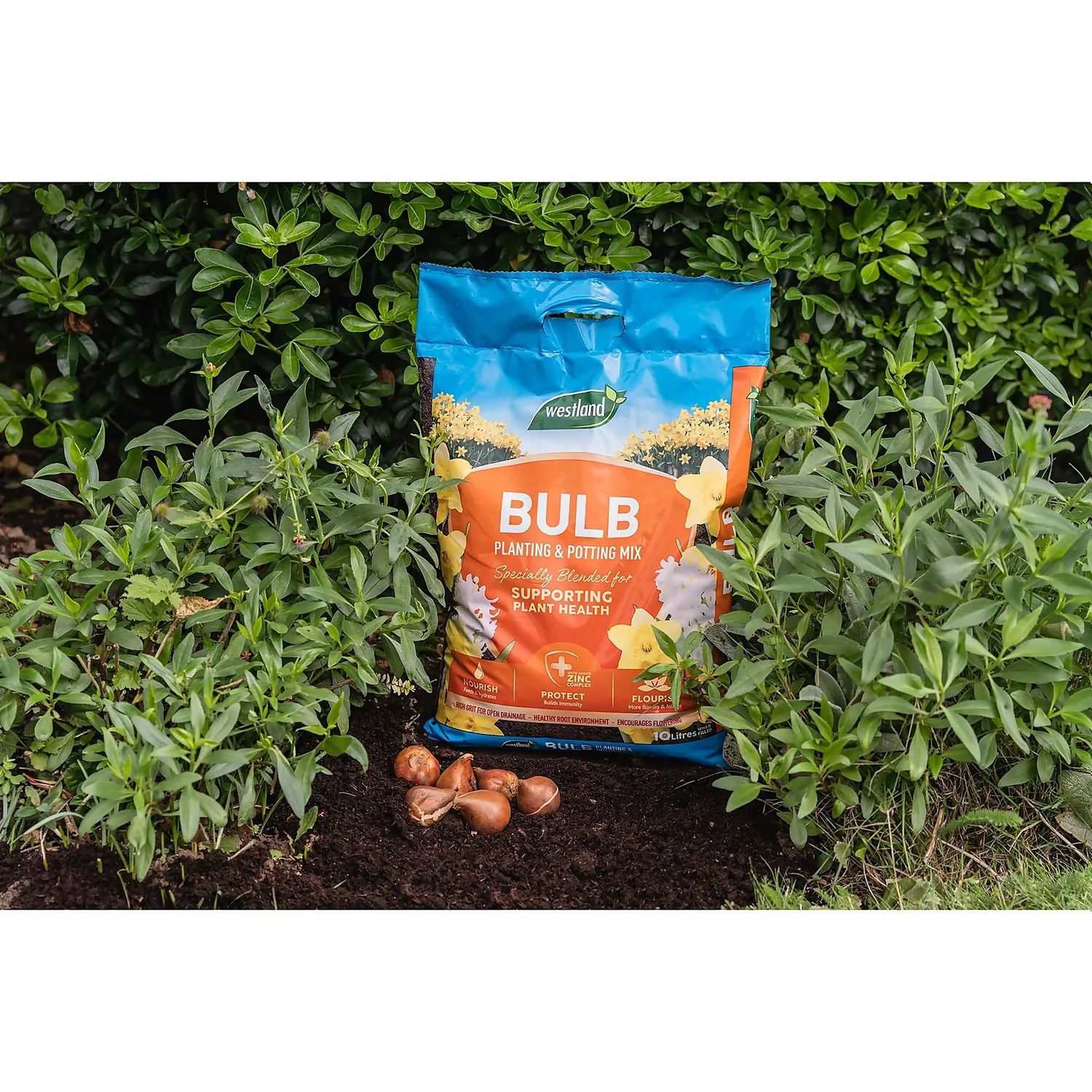 Westland Bulb Planting Compost - 20L 3 Westland Bulb Planting Compost - 20L - Image 3