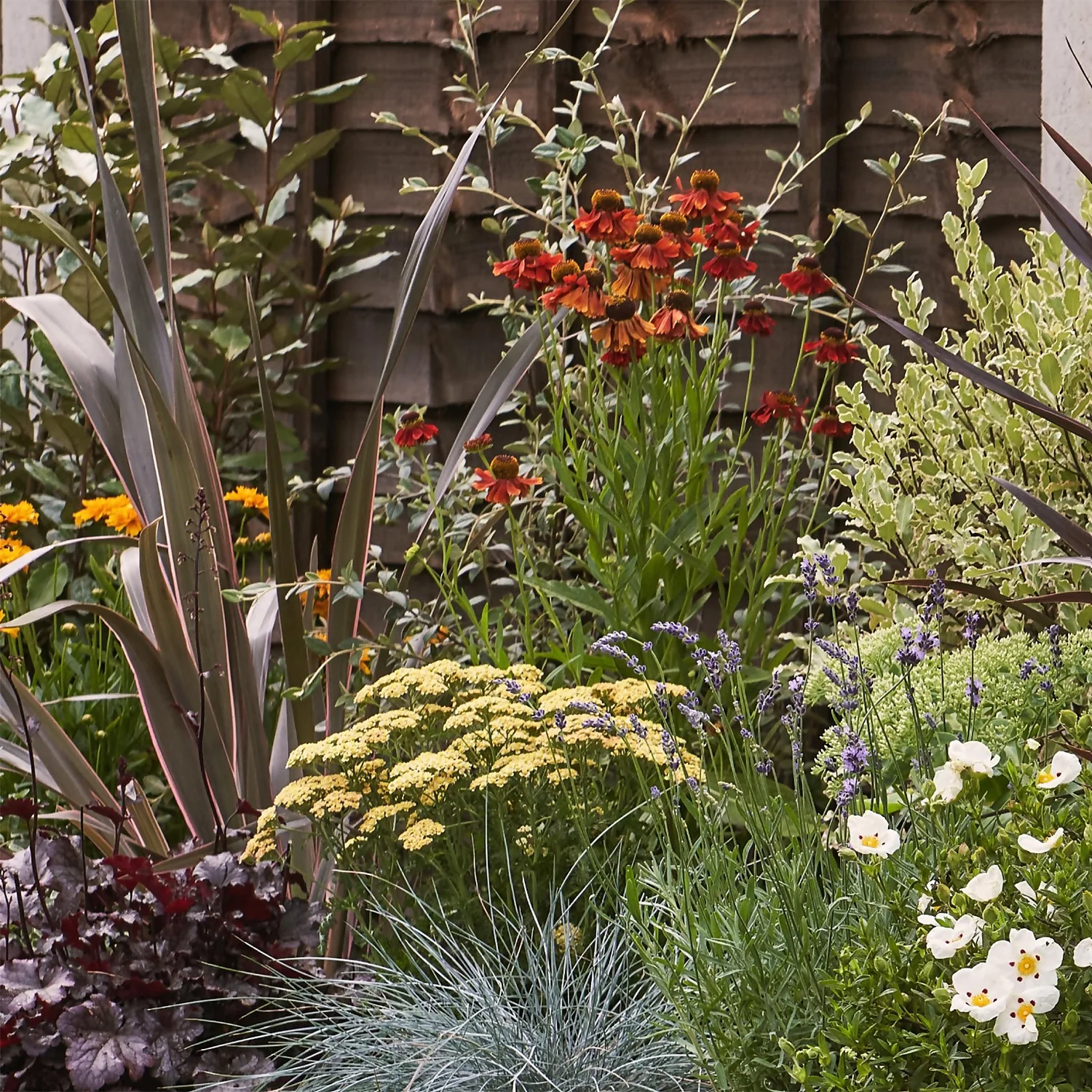 Mediterranean Border 5m X 40cm 4 Mediterranean Border 5m X 40cm - Image 4