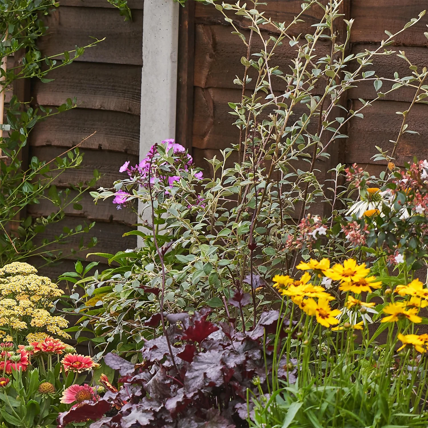 Bee And Butterfly Border 9m X 40cm 6 Bee And Butterfly Border 9m X 40cm - Image 6