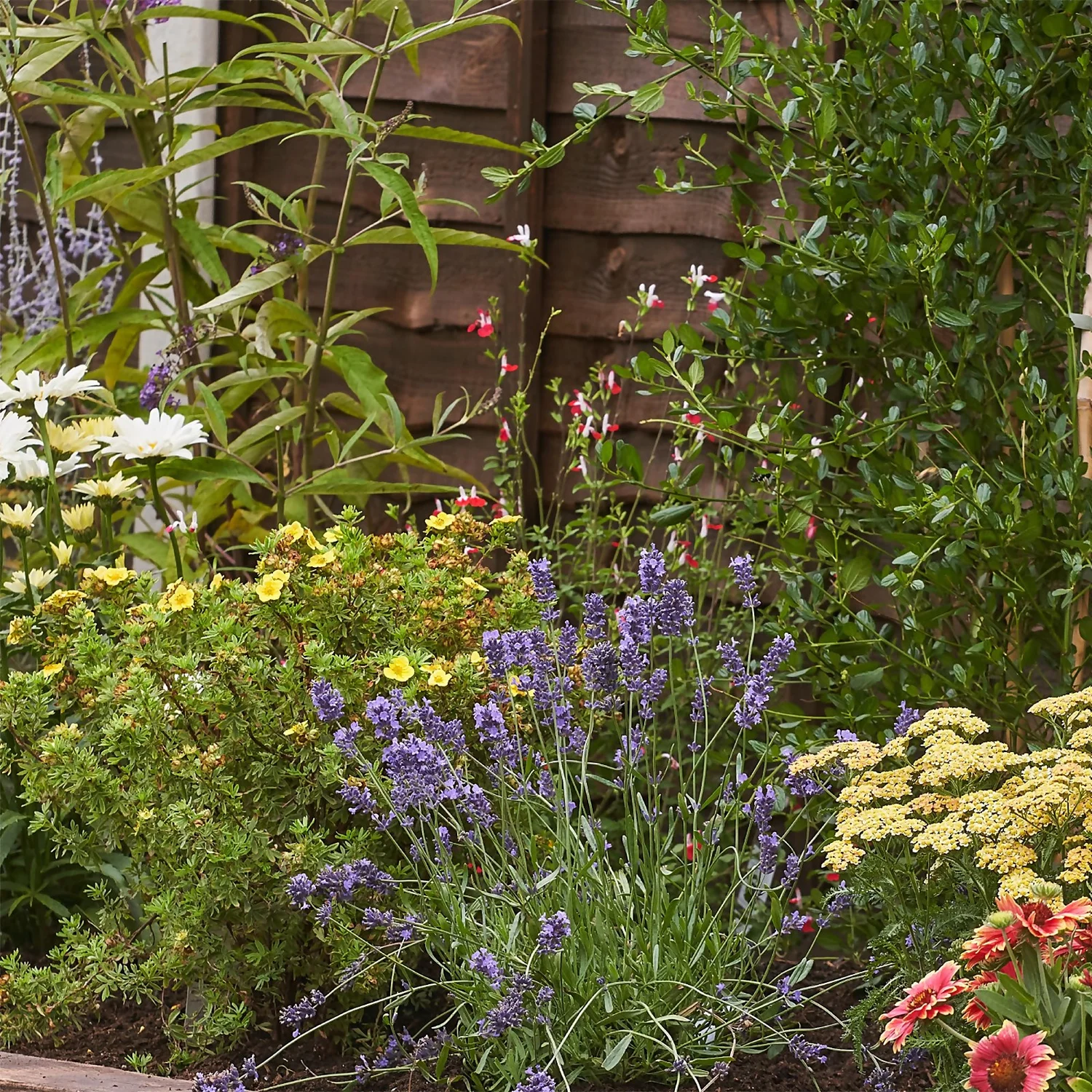 Bee And Butterfly Border 9m X 40cm 5 Bee And Butterfly Border 9m X 40cm - Image 5