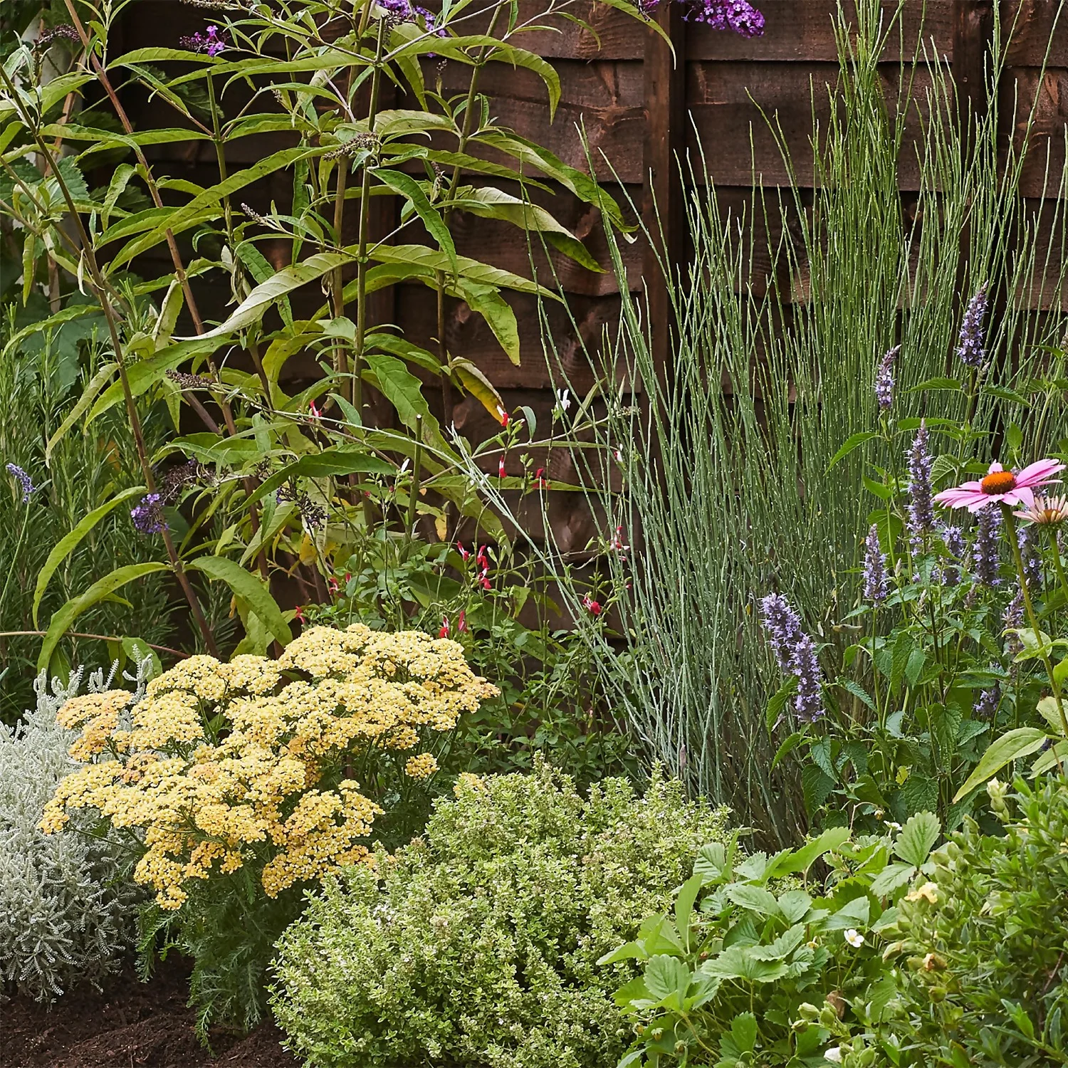 Sensory Themed Border 8m X 120cm 5 Sensory Themed Border 8m X 120cm - Image 5