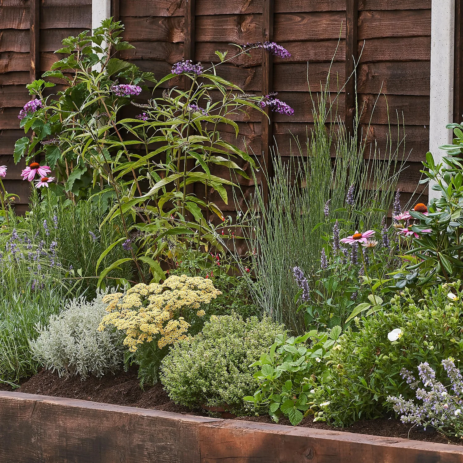 Sensory Themed Border 8m X 120cm 1 Sensory Themed Border 8m X 120cm