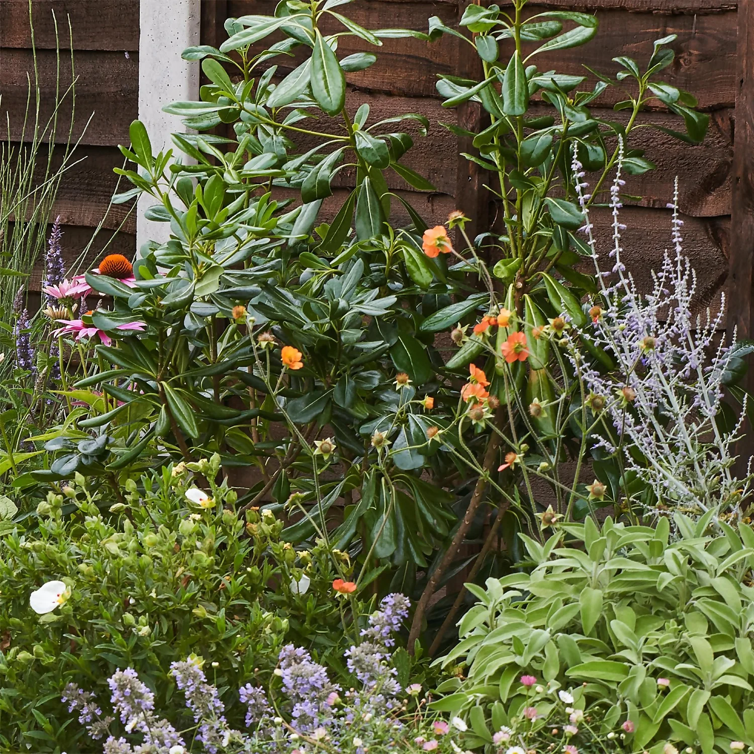 Sensory Themed Border 8m X 120cm 6 Sensory Themed Border 8m X 120cm - Image 6