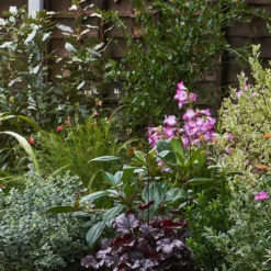 Garden On A Roll Eco Border - 2m X 60cm 10 Garden On A Roll Eco Border - 2m X 60cm -Westland Garden Deals Store 12837829 1425027574382173