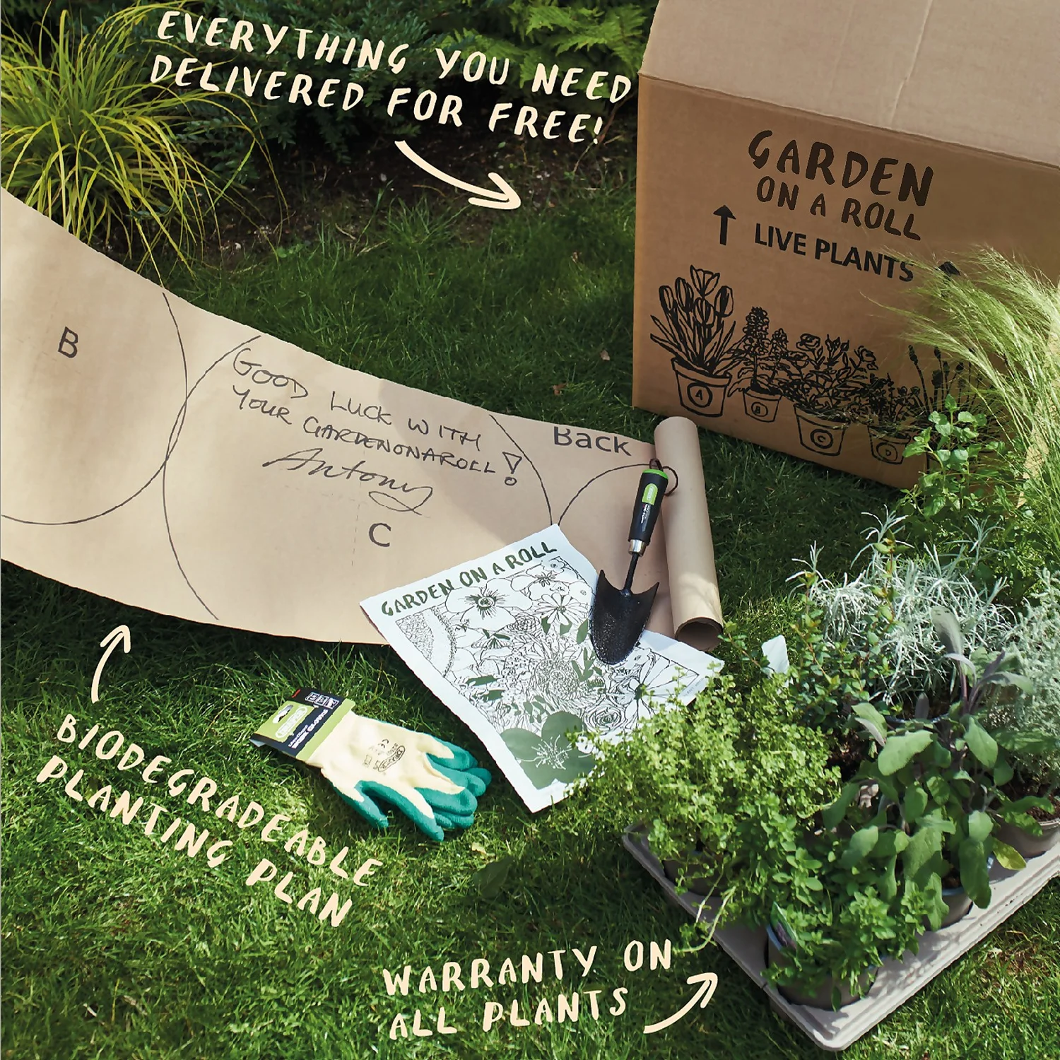 Garden On A Roll Eco Border - 2m X 60cm 7 Garden On A Roll Eco Border - 2m X 60cm - Image 7