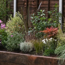 Garden On A Roll Eco Border - 2m X 60cm