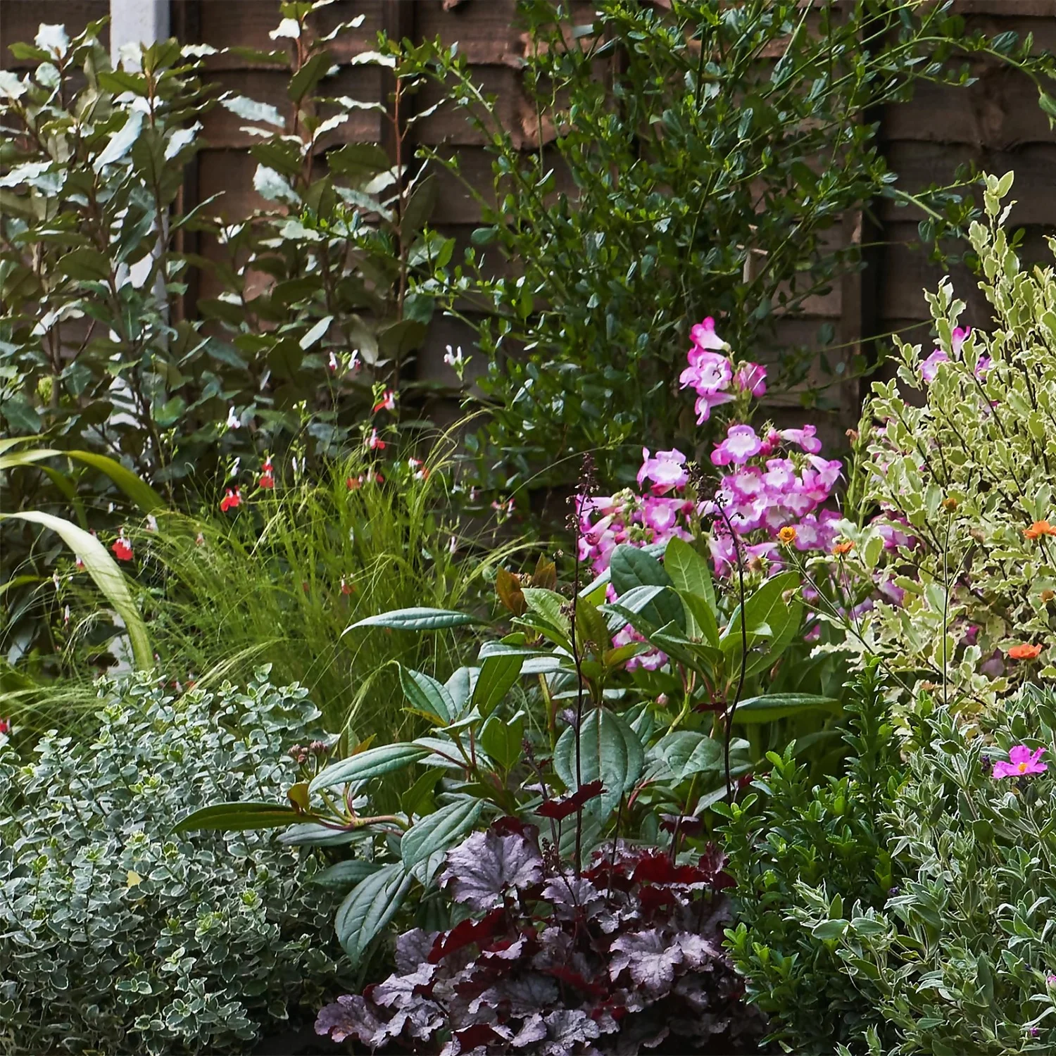 Garden On A Roll Eco Border - 9m X 120cm 4 Garden On A Roll Eco Border - 9m X 120cm - Image 4