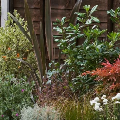 Garden On A Roll Eco Border - 9m X 120cm 11 Garden On A Roll Eco Border - 9m X 120cm -Westland Garden Deals Store 12838165 2065027575915923