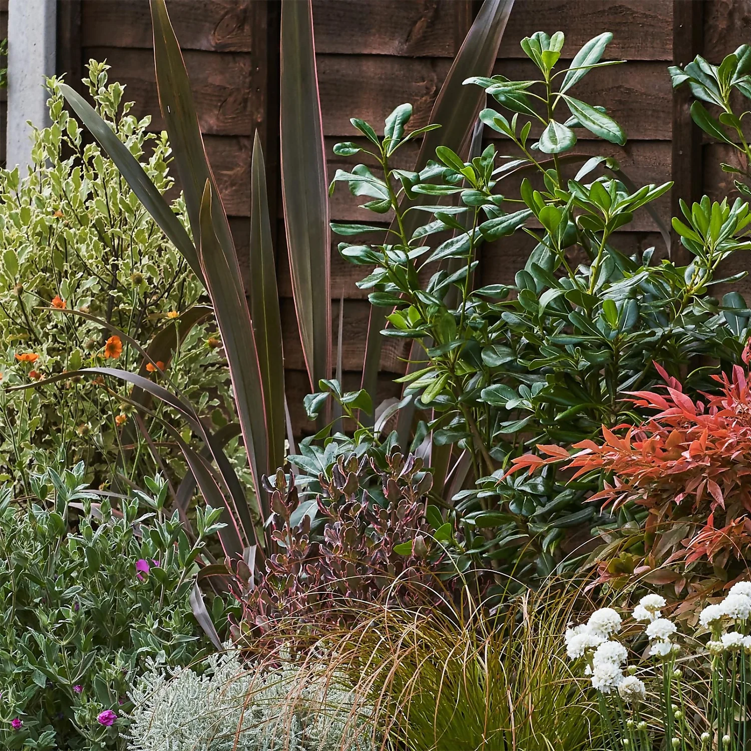 Garden On A Roll Eco Border - 9m X 120cm 5 Garden On A Roll Eco Border - 9m X 120cm - Image 5