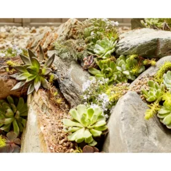 Stylish Stone Rustic Slate Rockery 17 Stylish Stone Rustic Slate Rockery -Westland Garden Deals Store 12875997 6334849696657587