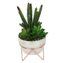 Artificial Succulent In Rose Gold Stand -Westland Garden Deals Store 12879282 1334858348118316