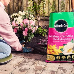 Miracle Gro Premium Azalea, Camellia & Rhododendron Ericaceous Compost - 40L -Westland Garden Deals Store 12882812 1404843671956442