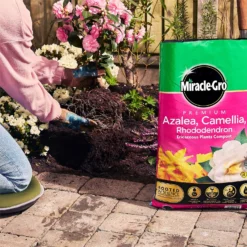 Miracle Gro Premium Azalea, Camellia & Rhododendron Ericaceous Compost - 40L -Westland Garden Deals Store 12882812 1924843671918789