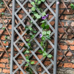 1.8m X 60cm Wooden Trellis Panel - Grey 7 1.8m X 60cm Wooden Trellis Panel - Grey -Westland Garden Deals Store 12885325 1525013038743302