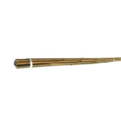 10 Pack Bamboo Canes - 1.5m/5ft -Westland Garden Deals Store 12885361 1684843289430165