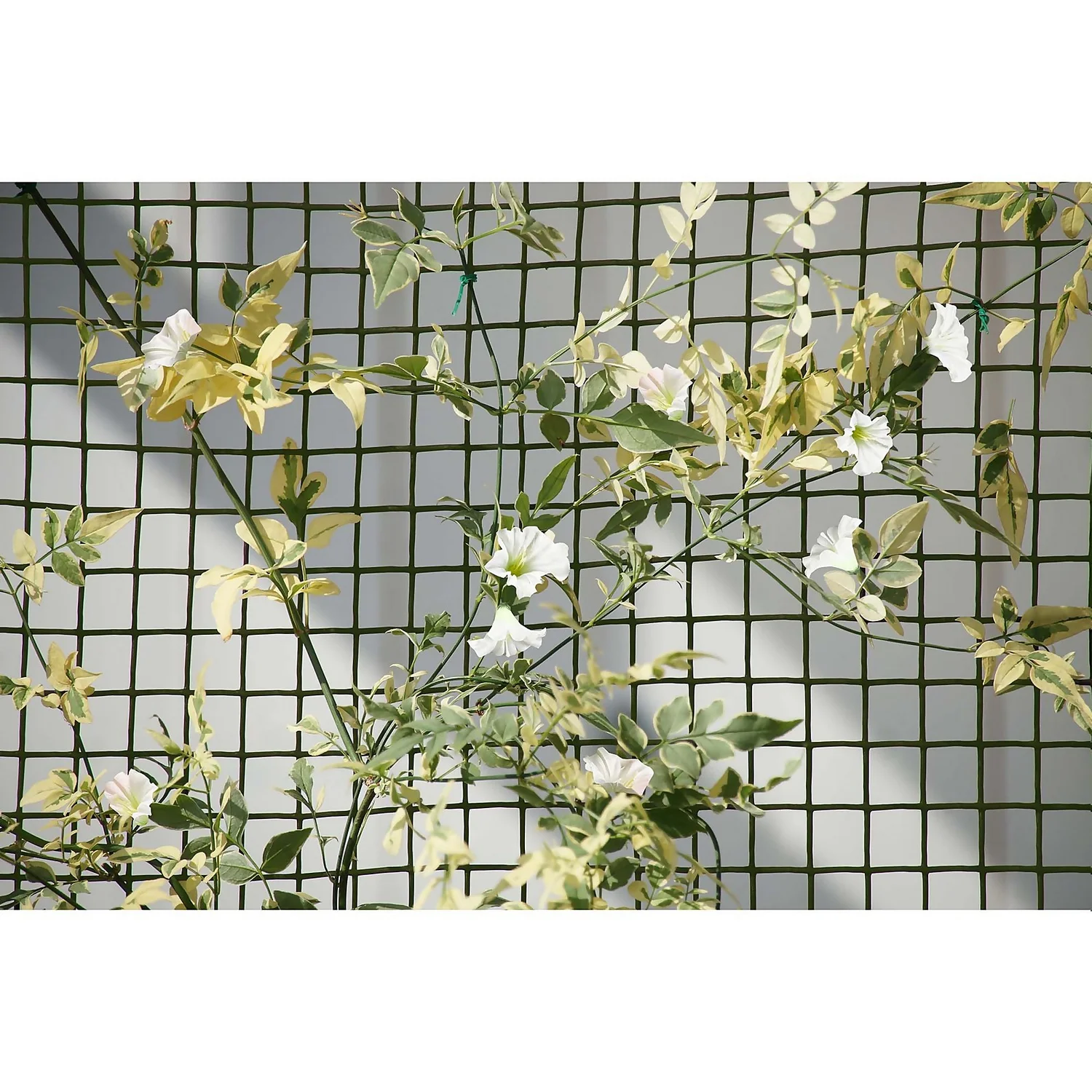 General Purpose Garden Mesh 2 General Purpose Garden Mesh - Image 2