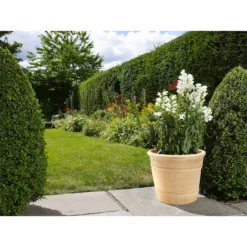 Himalaya Terracotta Vase - 38cm -Westland Garden Deals Store 12885640 1774843611879183