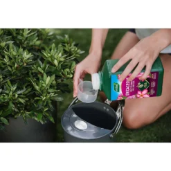 Westland Ericaceous Specialist Feed - 1l -Westland Garden Deals Store 12886482 2014971590635353