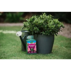 Westland Ericaceous Specialist Feed - 1l -Westland Garden Deals Store 12886482 6714971590616774