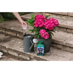 Westland Hydrangea Feed - 1l -Westland Garden Deals Store 12886486 1744971590629542