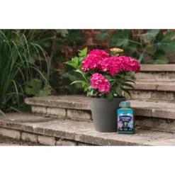 Westland Hydrangea Feed - 1l -Westland Garden Deals Store 12886486 5014971590603901
