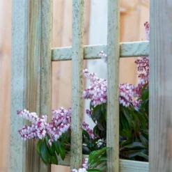 Mercia Curved Arch -Westland Garden Deals Store 12888302 6134849860614286