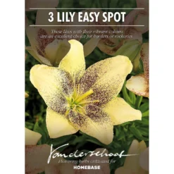 Asiatic Lily Easy Spot -Westland Garden Deals Store 12889022 1055020401913881