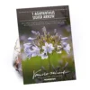 Agapanthus Silver Arrow
