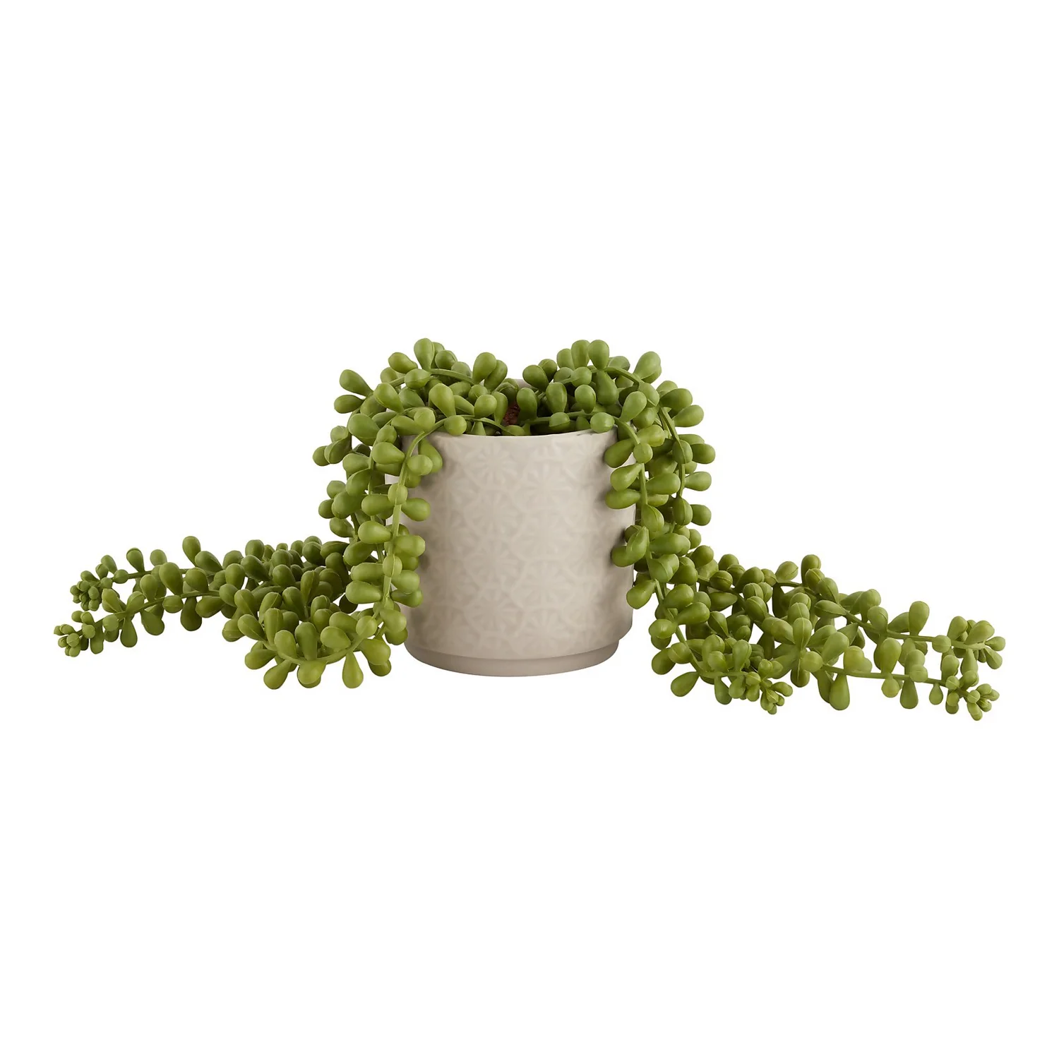 House Beautiful String Of Pearls In Ceramic Pot 1 House Beautiful String Of Pearls In Ceramic Pot
