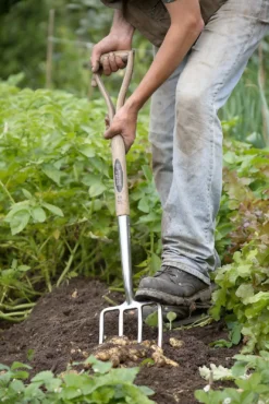 Spear & Jackson Traditional Stainless Digging Fork -Westland Garden Deals Store 12904675 1274851072244143