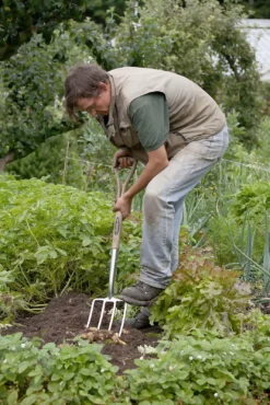 Spear & Jackson Traditional Stainless Digging Fork -Westland Garden Deals Store 12904675 2754851072222033