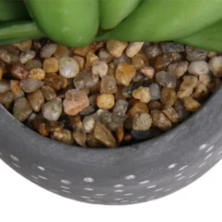 Small Succulent - Grey -Westland Garden Deals Store 12909500 5574869235621944