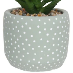 Small Succulent - Green -Westland Garden Deals Store 12909501 1514869235621446