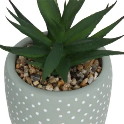 Small Succulent - Green -Westland Garden Deals Store 12909501 2094869235594320