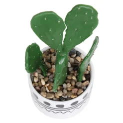 Cactus In Abstract Pot -Westland Garden Deals Store 12909502 1064869235554777
