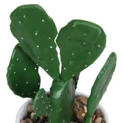 Cactus In Abstract Pot -Westland Garden Deals Store 12909502 1344869235594629