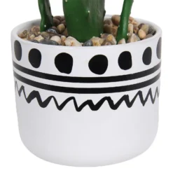 Cactus In Abstract Pot -Westland Garden Deals Store 12909502 2064869235687110