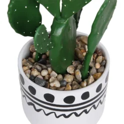 Cactus In Abstract Pot -Westland Garden Deals Store 12909502 2094869235640256