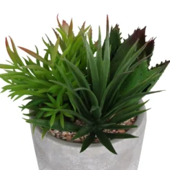 Mixed Succulent In Grey Pot -Westland Garden Deals Store 12909503 1064869235639350
