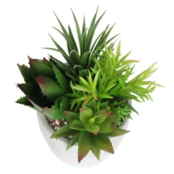 Mixed Succulent In Grey Pot -Westland Garden Deals Store 12909503 2024869235594281