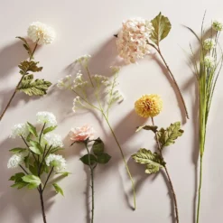 Rose - Light Peach -Westland Garden Deals Store 12913567 8584857400384818