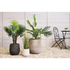 Liam Round Stripe Planter - Large 6 Liam Round Stripe Planter - Large -Westland Garden Deals Store 13222488 1224929320834040